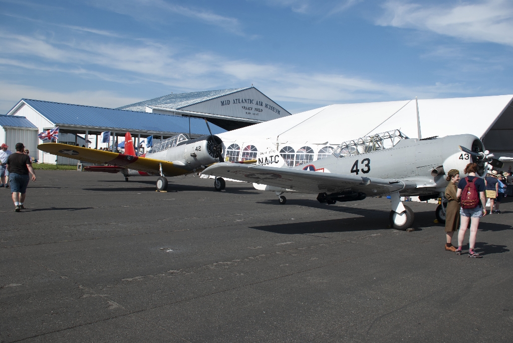 DSC_3632.jpg